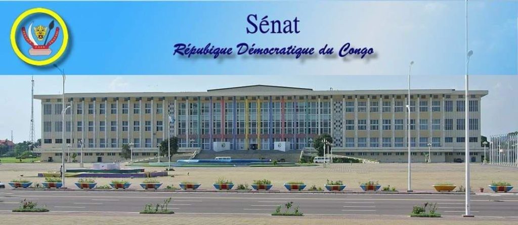 Article : RDC : Tragédie morale sur fond d&rsquo;une crétinisation collective dans les institutions du pays